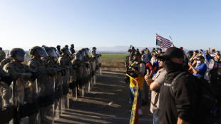 Farm worker dies after US immigration raid in California