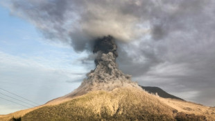 Un volc&aacute;n de Indonesia hace erupci&oacute;n y lanza una enorme columna de ceniza
