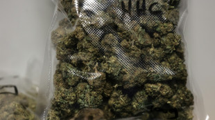 Desmantelan red de tr&aacute;fico casi "industrial" de cannabis entre Espa&ntilde;a y Francia