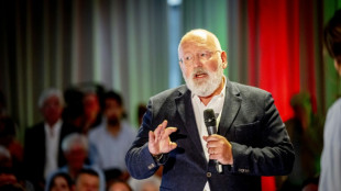 Dutch leftist quits EU post to seek premiership
