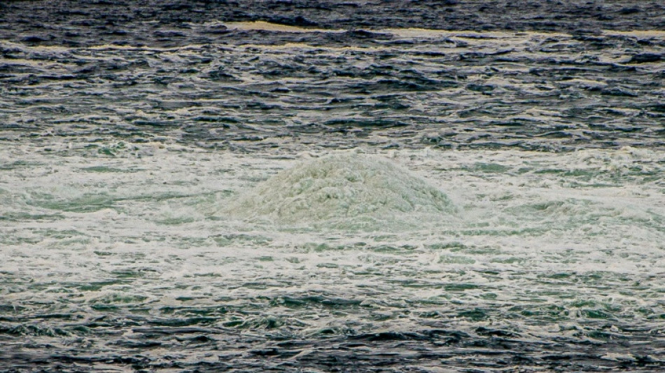 La "verdad" sobre las fugas de Nord Stream "sorprender&iacute;a" a los europeos, asegura el Kremlin