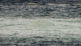 La "verdad" sobre las fugas de Nord Stream "sorprender&iacute;a" a los europeos, asegura el Kremlin