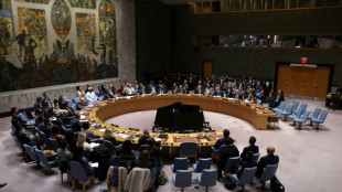 Conselho de Segurança aprova resolução sobre força internacional em Gaza