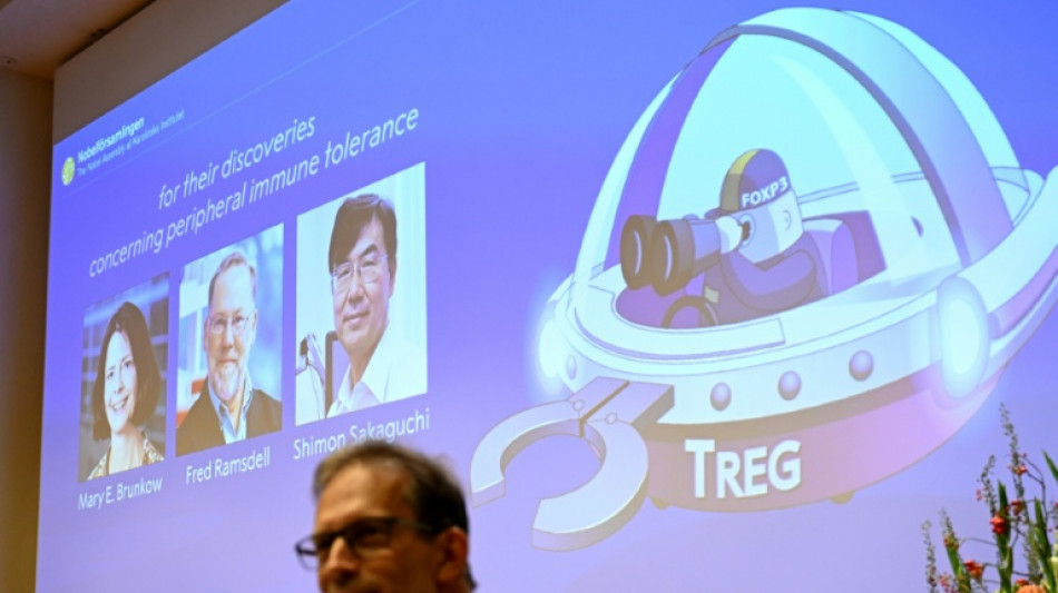 Nobel de Medicina premia tr&ecirc;s pesquisadores do sistema imunol&oacute;gico