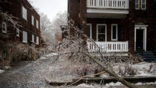 Una tormenta de hielo deja sin electricidad a m&aacute;s de un mill&oacute;n de canadienses