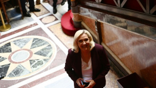 Rechtspopulistin Le Pen zur Chefin der wohl gr&ouml;&szlig;ten Oppositionsfraktion gew&auml;hlt