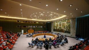 Scharfe Kritik an russischem Vorsitz im UN-Sicherheitsrat