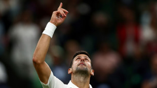 Wimbledon: Djokovic l&acirc;che un set &agrave; van Rijthoven et rejoint Sinner en quarts