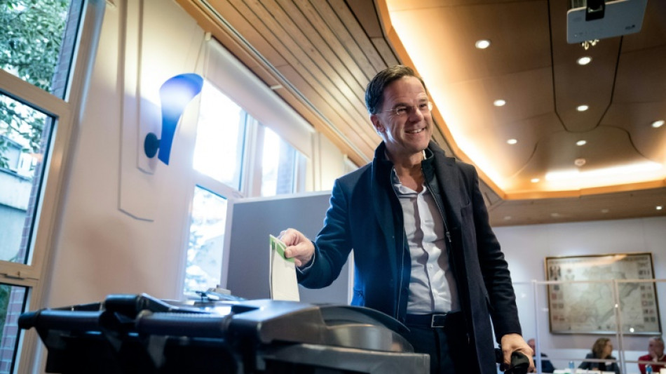 El descontento de los agricultores acapara las elecciones regionales en Pa&iacute;ses Bajos