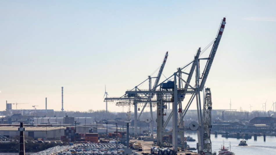 Deutsche Wirtschaft kritisiert Zolloffensive von Donald Trump scharf