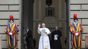 Il Papa, prego che vadano a buon fine gli sforzi per la pace