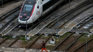 La ligne &agrave; grande vitesse entre Paris et l'est de la France interrompue, des heures de retard pour les TGV