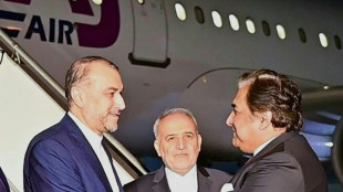 Ministro iran&iacute; vista Pakist&aacute;n tras bombardeos mutuos