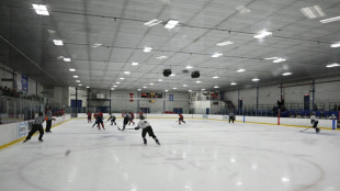 Au Canada, un scandale sexuel fait vaciller la f&eacute;d&eacute;ration nationale de hockey