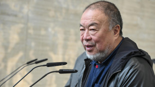 Senza visto, artistaWeiwei non &egrave; potuto entrare in Svizzera