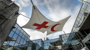 Switzerland comes to the aid of Red Cross museum