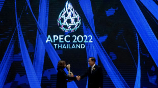 Apec: la guerre en Ukraine condamn&eacute;e par la "plupart des membres" 