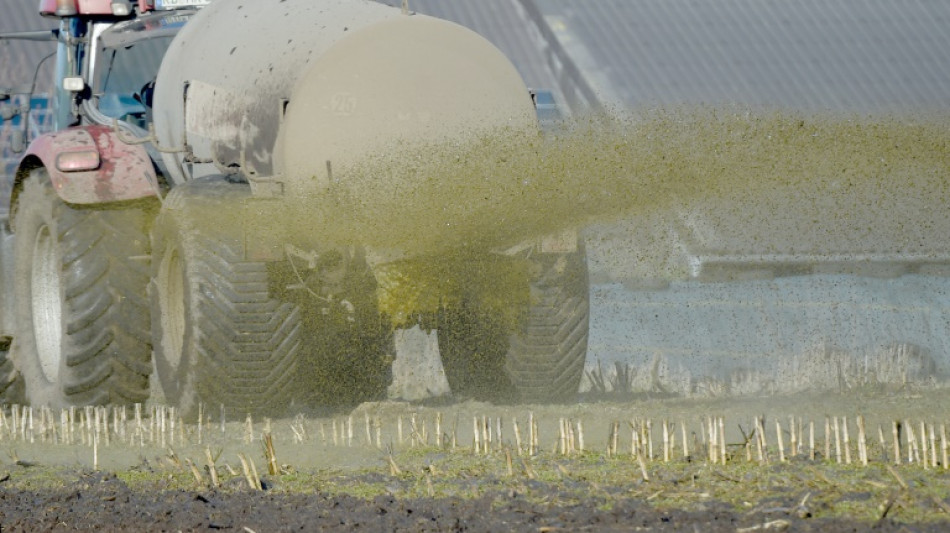 G&uuml;lle in Pool von Ferienhaus geweht: Landwirt haftet f&uuml;r Verschmutzung