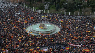 Una protesta en Madrid contra la amnist&iacute;a pide la dimisi&oacute;n de Pedro S&aacute;nchez