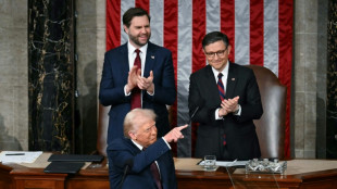 Trump sa&uacute;da Am&eacute;rica 'impar&aacute;vel' em discurso no Congresso