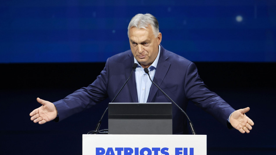 Orban riceve Weidel, 'il futuro della Germania &egrave; dell'Afd'