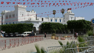 Liberado en T&uacute;nez un periodista del canal de televisi&oacute;n Al Jazeera