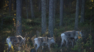 WWF: Rentiere und Kaiserpinguine besonders gef&auml;hrdet