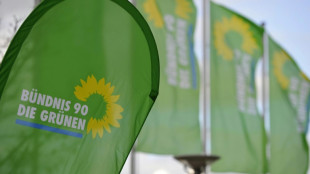 Schwelling und Haggenm&uuml;ller als Gr&uuml;nen-Vorsitzende in Baden-W&uuml;rttemberg best&auml;tigt