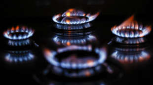 In lieve calo l'indice italiano del gas a 36,51 euro MWh