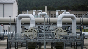 Alemania busca a un sospechoso ucraniano en la investigaci&oacute;n del sabotaje del gasoducto ruso Nord Stream