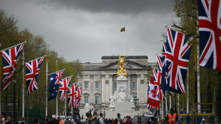 Mann soll Patronen auf Gel&auml;nde des Buckingham-Palasts geworfen haben