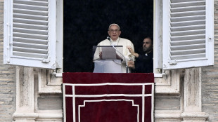 Il Papa, 'Gaza &egrave; stremata, nessuno pu&ograve; impedire gli aiuti'