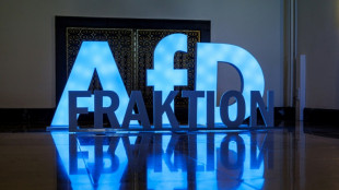 Merz veut redonner confiance &agrave; l'est, 35 ans apr&egrave;s la r&eacute;unification allemande 