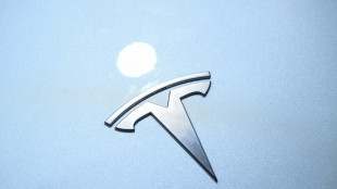 Eyeing robotaxis, Tesla hiring New York test car operator