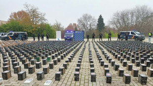 Espa&ntilde;a se incauta de m&aacute;s de 11 toneladas de coca&iacute;na de organizaciones albanesas