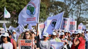 Exministros brasile&ntilde;os piden frenar la pol&eacute;mica ley de flexibilizaci&oacute;n ambiental