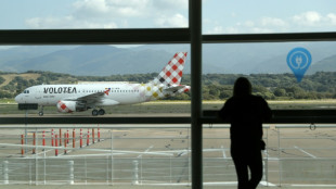 Un hombre muri&oacute; al ser absorbido por el motor de un avi&oacute;n en el norte de Italia