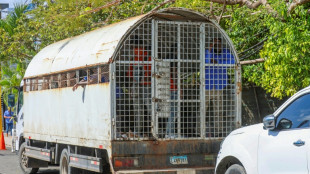 Rep&uacute;blica Dominicana deportou mais de 119 mil haitianos em 2025