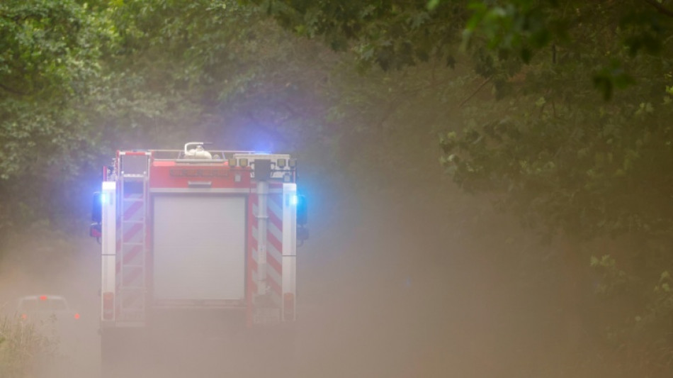 Ort in Nordrhein-Westfalen wegen Waldbrands evakuiert - Feuer breitet sich aus