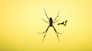 Les pr&eacute;dateurs repr&eacute;sentent une alternative efficace aux pesticides, selon une &eacute;tude