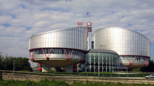 Menschenrechtsgericht: Entzug der Staatsb&uuml;rgerschaft wegen Terrorismus ist rechtens