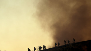 A Los Angeles in fumo un'area pari a San Francisco