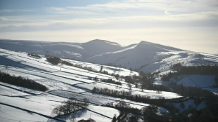 Versorger: Gasreserven in Gro&szlig;britannien "besorgniserregend niedrig"