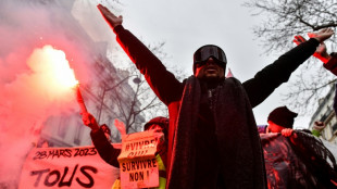 Retraites: &agrave; l'approche de la d&eacute;cision des "Sages", une 11e journ&eacute;e d'action