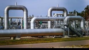Il prezzo del gas apre in rialzo a 33,84 euro al megawattora