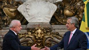 Brasil y Argentina esperan desarrollar comercio en base a una moneda com&uacute;n