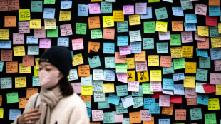 Nach Flugzeugungl&uuml;ck in S&uuml;dkorea: Flughafen bleibt bis Mitte Januar geschlossen