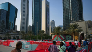 Mondial: la logistique &agrave; l'&eacute;preuve, un Angleterre-Iran scrut&eacute; de pr&egrave;s