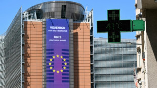 Brüssel will EU-Ländern bei Klimaziel für 2040 mehr Spielraum geben