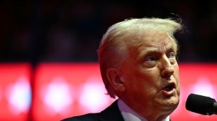 Des expulsions et des gr&acirc;ces: le programme choc promis par Trump d&egrave;s son investiture